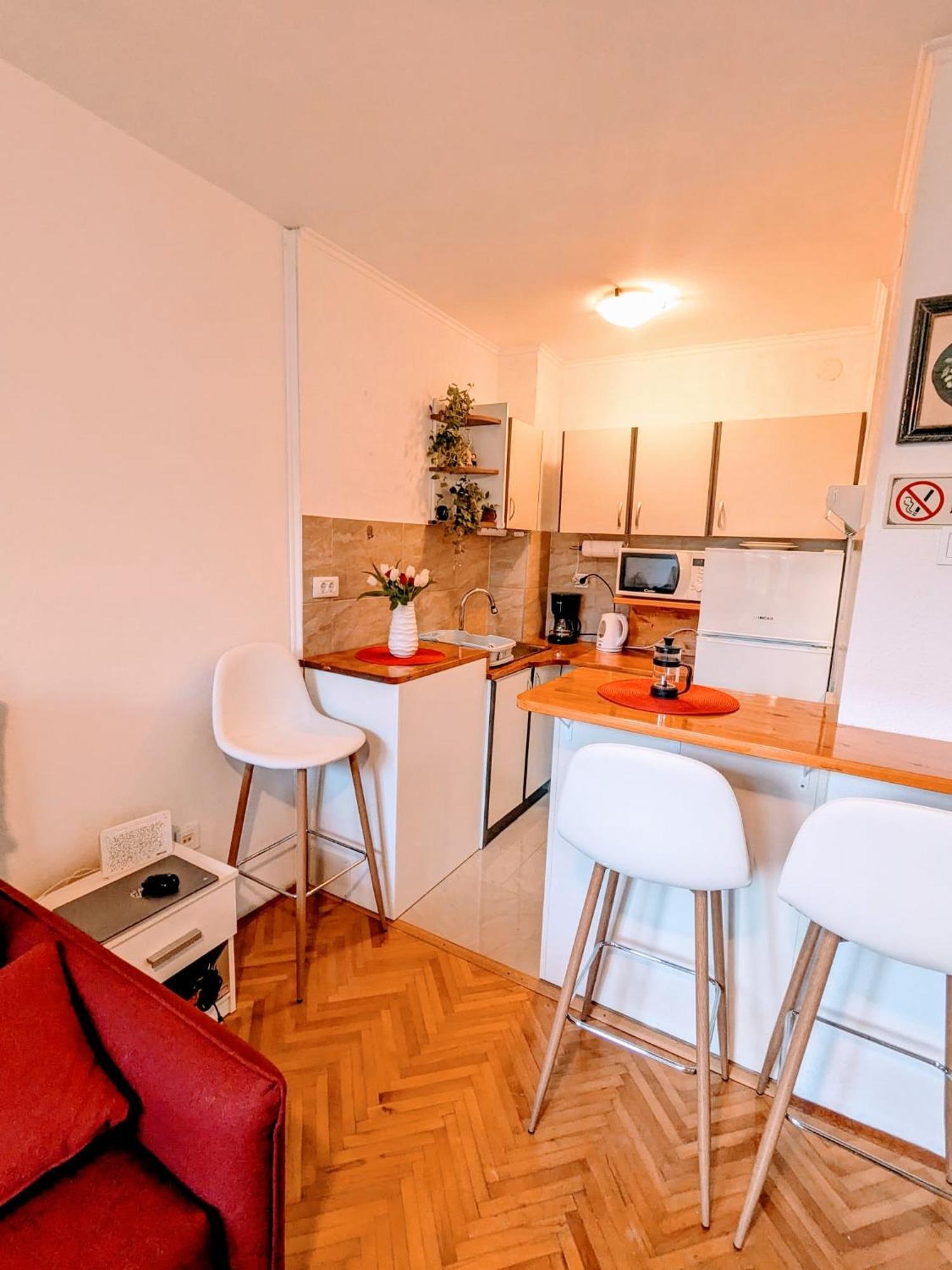 Demass Apartment - Cozy, Free Parking And Wifi Дубровник Екстер'єр фото