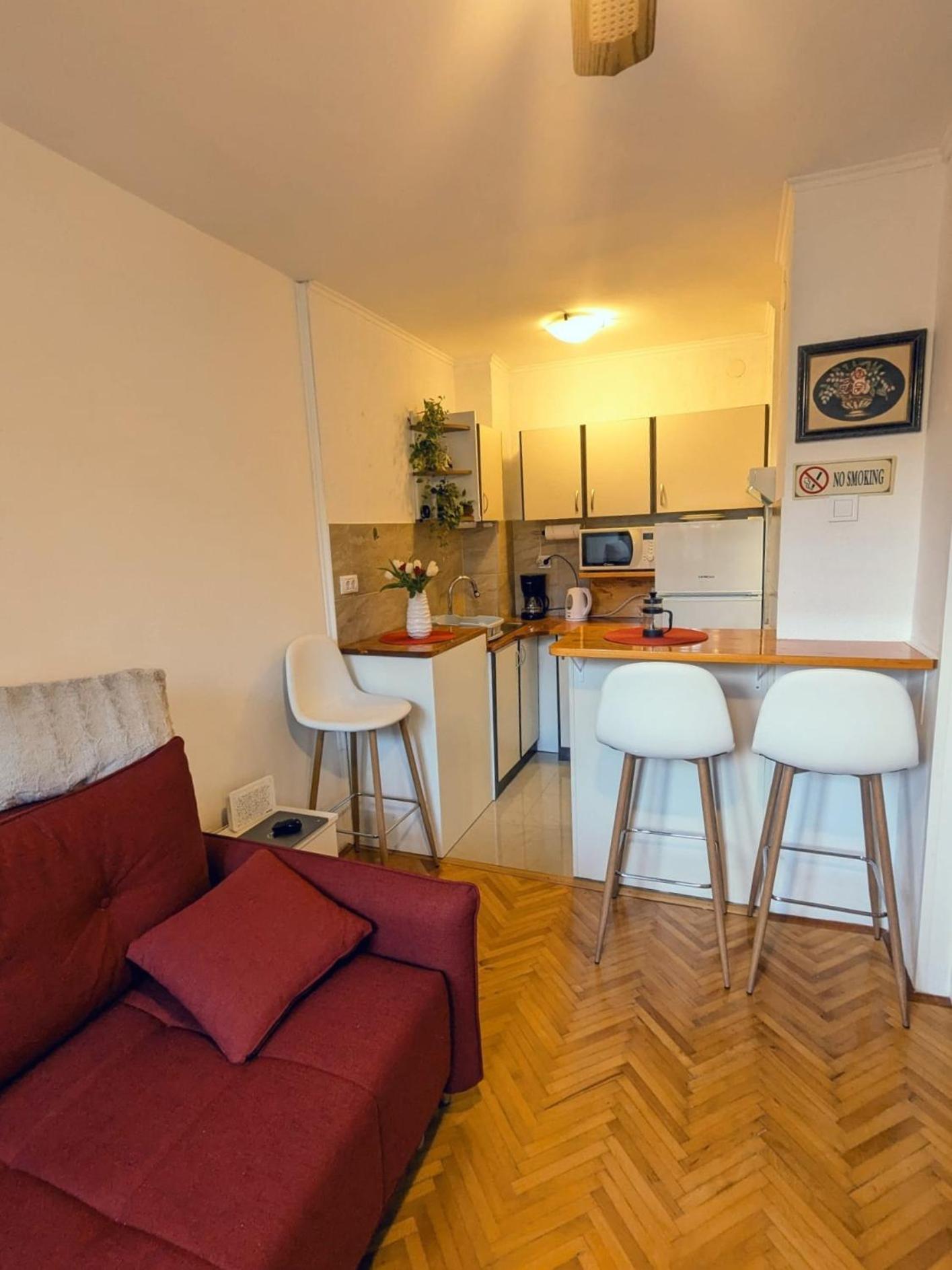 Demass Apartment - Cozy, Free Parking And Wifi Дубровник Екстер'єр фото