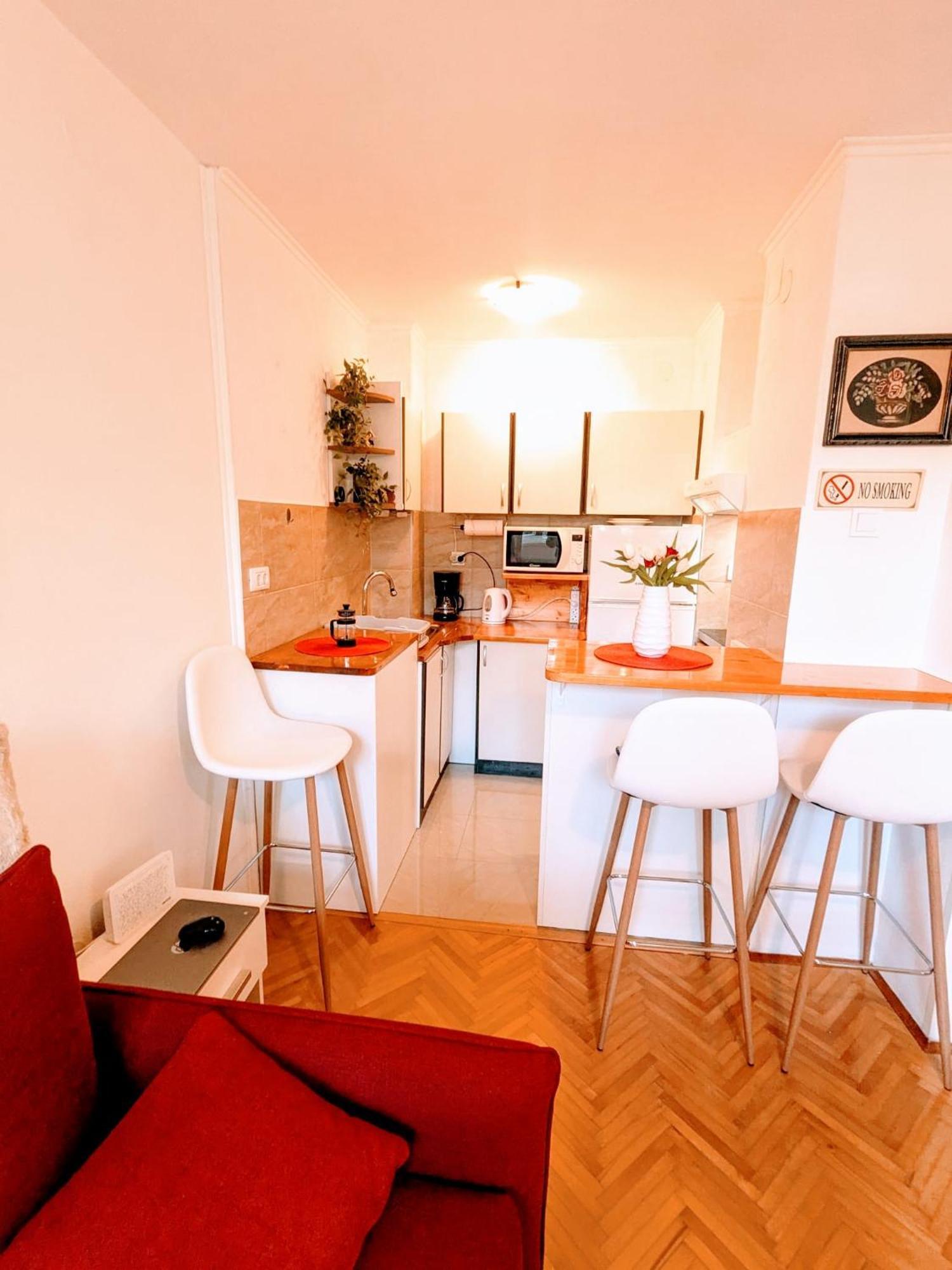 Demass Apartment - Cozy, Free Parking And Wifi Дубровник Екстер'єр фото